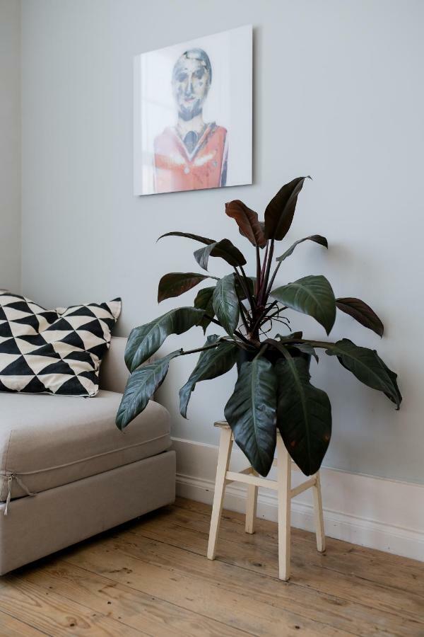 Baixa24 •P2R• Bright Apt In Vibrant Downtown 波尔图 外观 照片