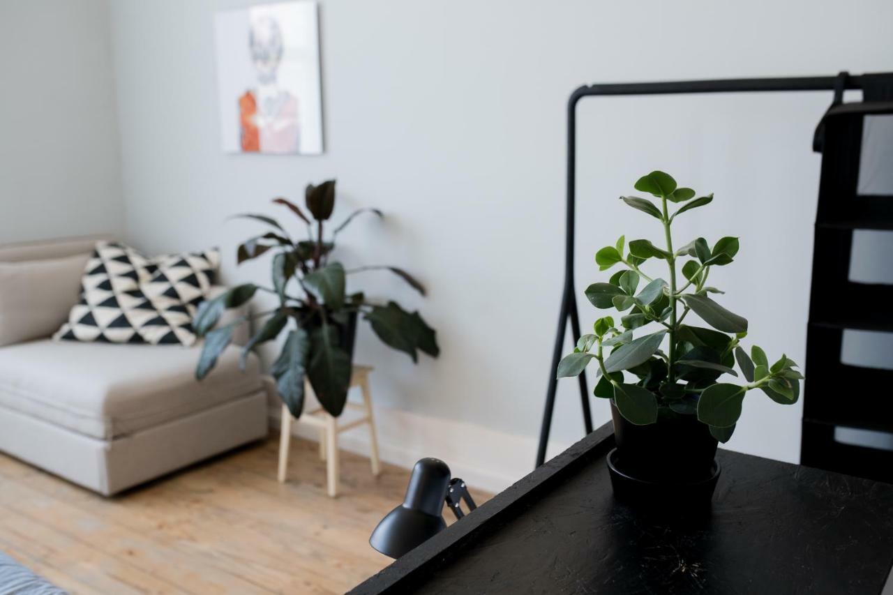Baixa24 •P2R• Bright Apt In Vibrant Downtown 波尔图 外观 照片